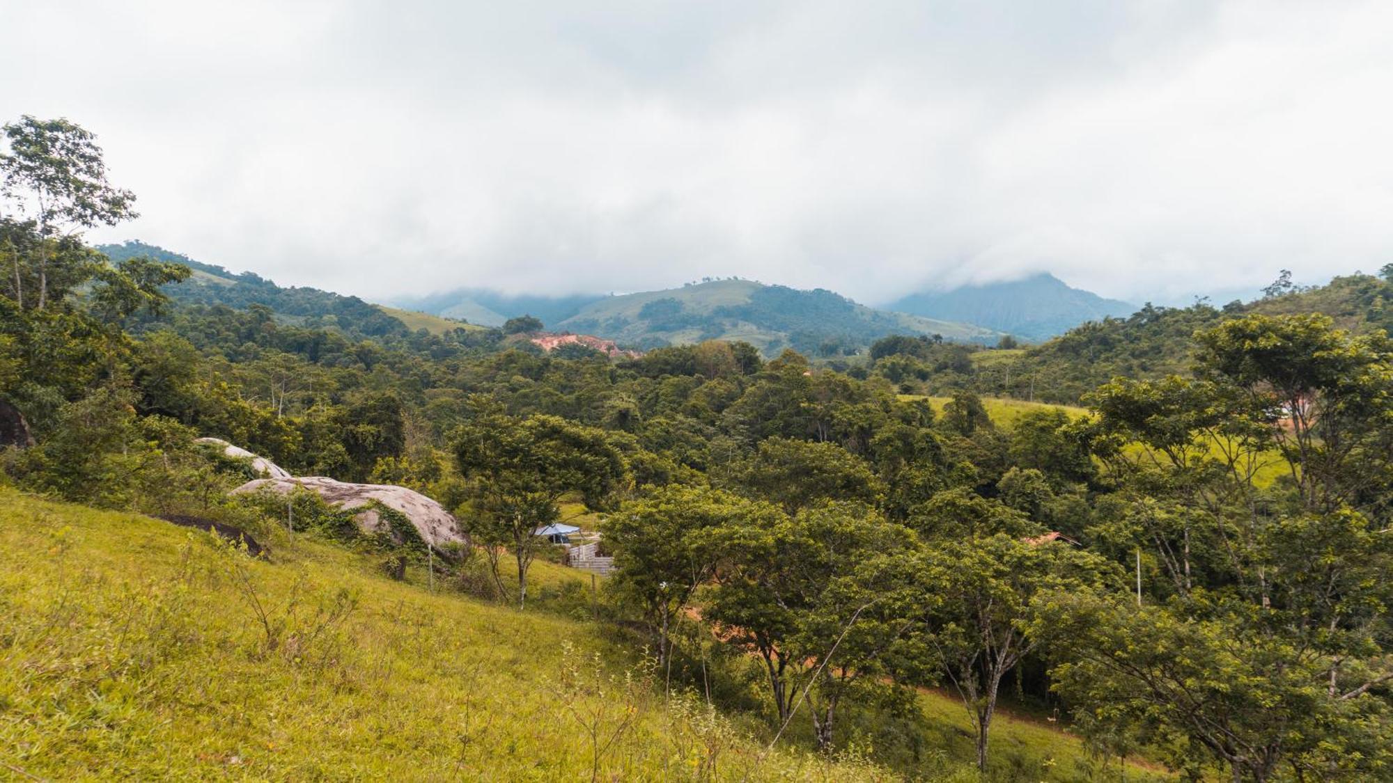 Ecocasa Azul - Chale Na Mata Chalet