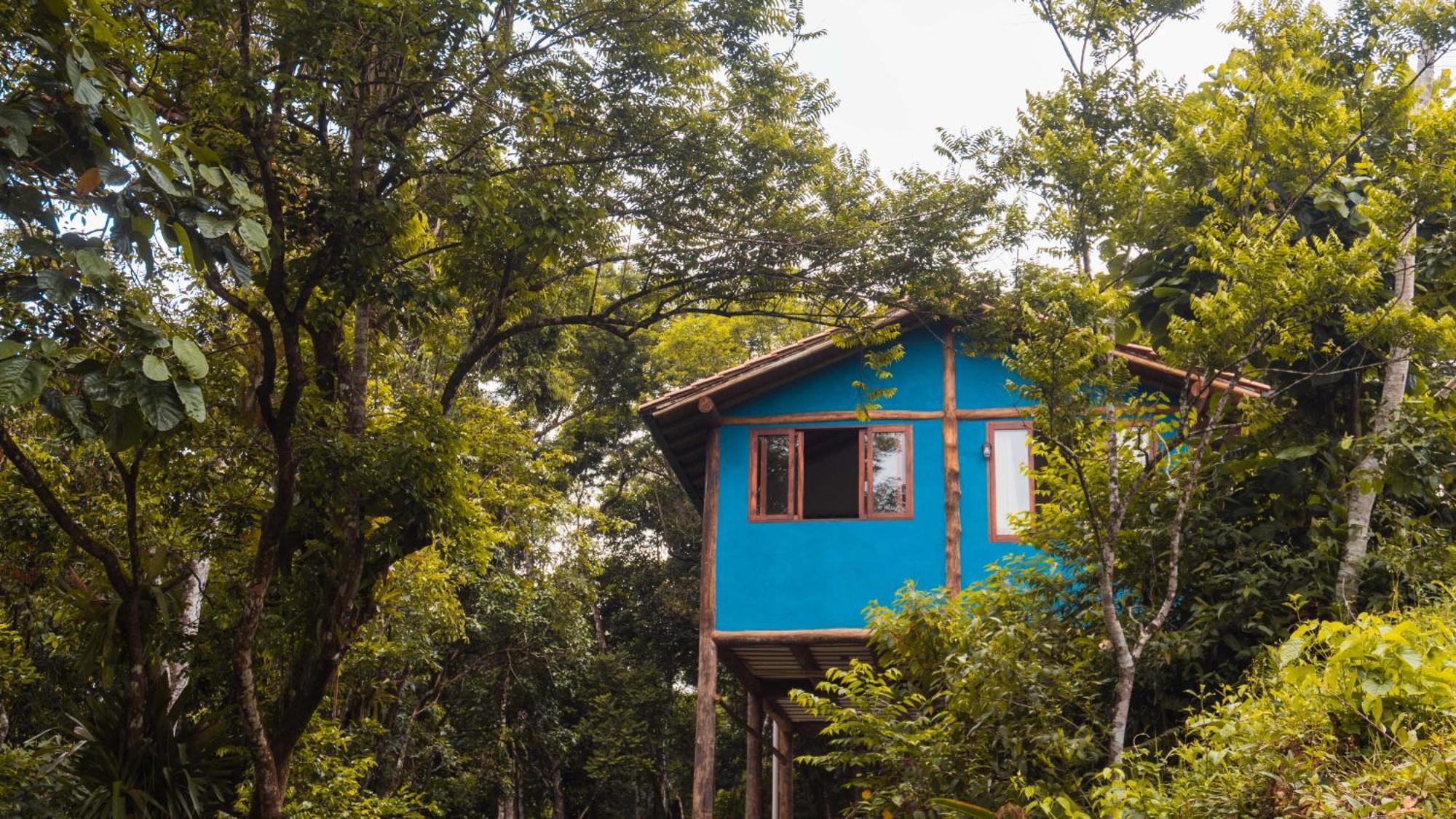 Ecocasa Azul - Chale Na Mata Chalet *